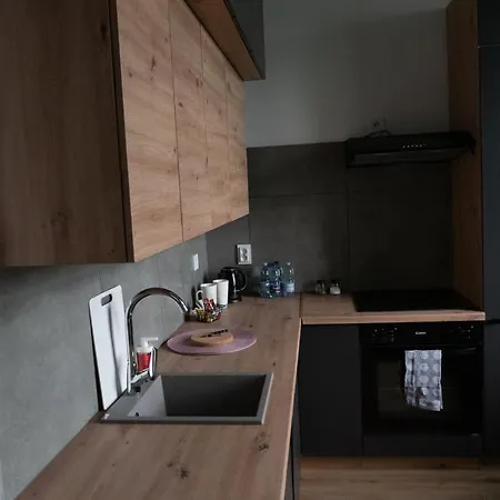 Apartment Vs - Apartament Nr 33 Lodz (Lodz)