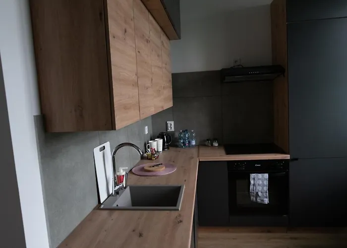 Lejlighed Vs - Apartament Nr 33 Łódź